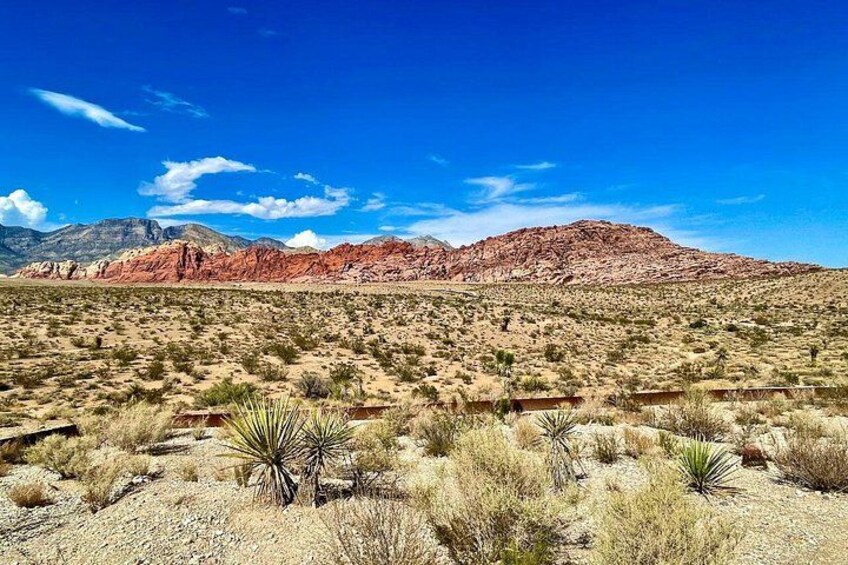 A desert landscape with sparse vegetation, red rock formations, and a clear blue sky. 4