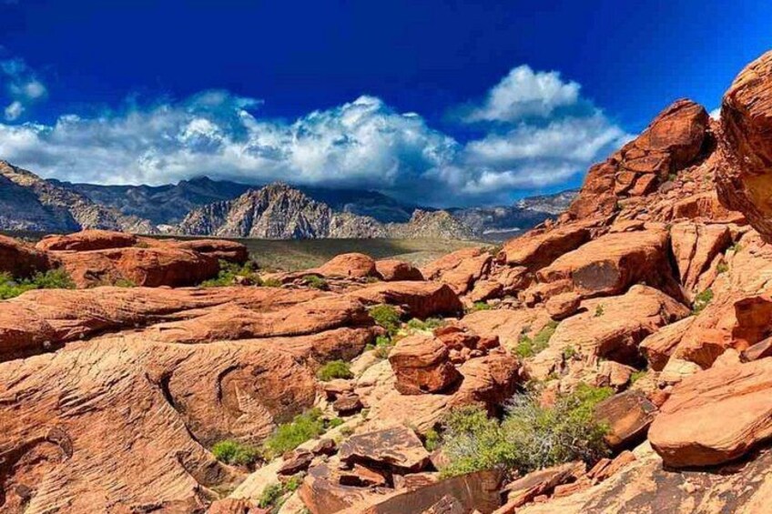World Famous “As Seen on TV” Red Rock Canyon Scenic Loop Tour 3