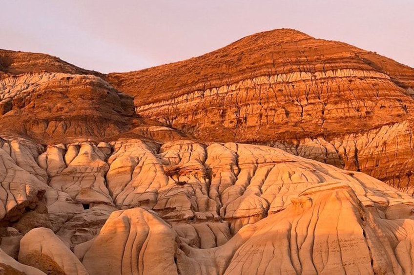 Day of Dinosaurs & Hoodoos from Calgary to Drumheller Badlands 5