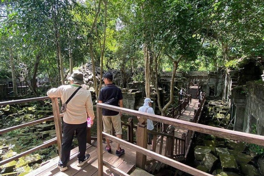 A wooden bridge with railings, surrounded by lush greenery and a rocky structure in the background. 2