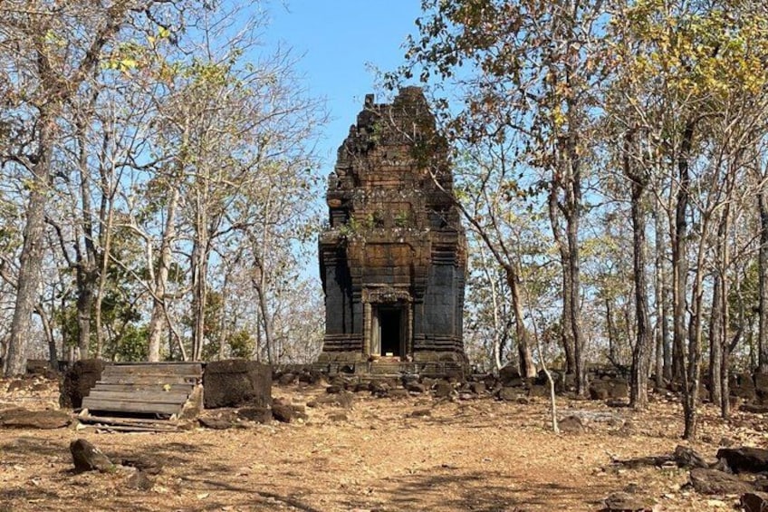 Un temple antique entouré d’arbres. 2