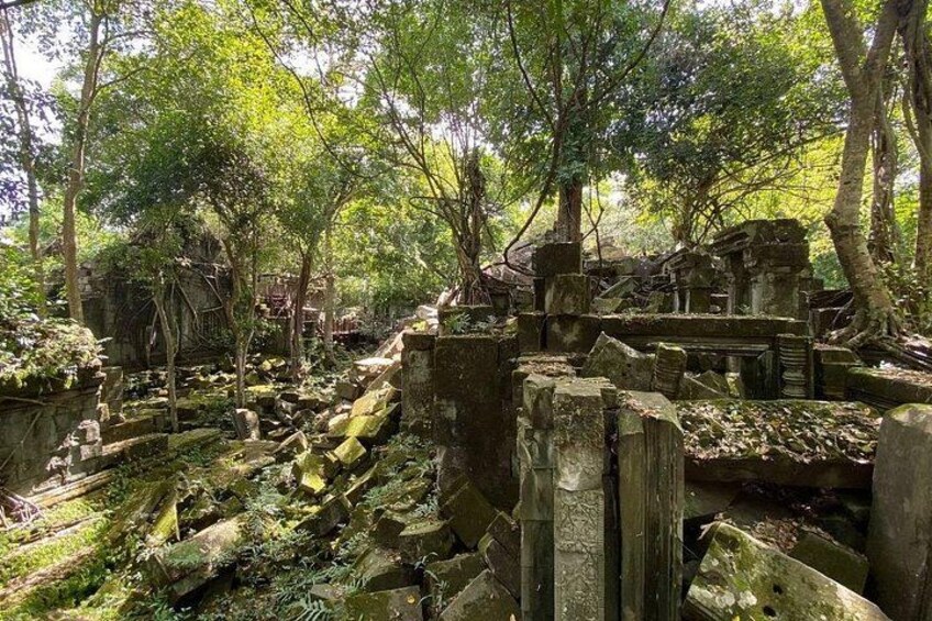 Ancient ruins surrounded by dense forest. 3