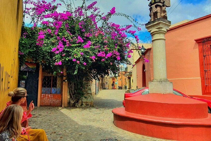 Private Tour Oaxaca City 2 hours - Best Rated 3
