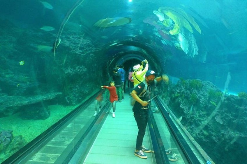 Kenting Aquarium Admission Ticket | Taiwan 2