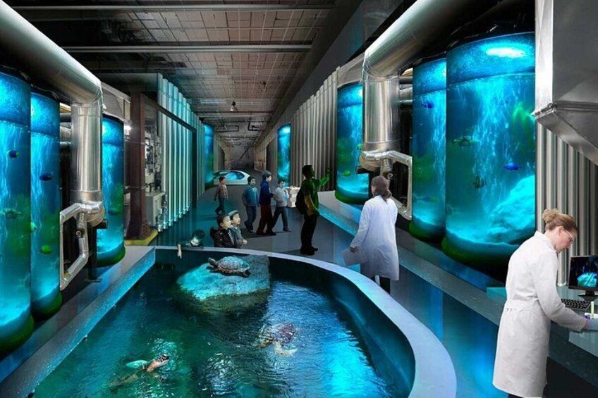 Kenting Aquarium Admission Ticket | Taiwan 4
