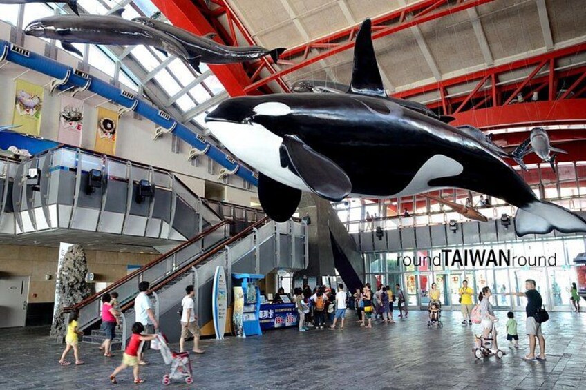 Kenting Aquarium Admission Ticket | Taiwan 5
