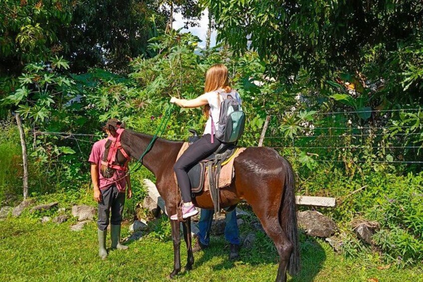 Horseback Riding Tour in San Pedro La Laguna 4
