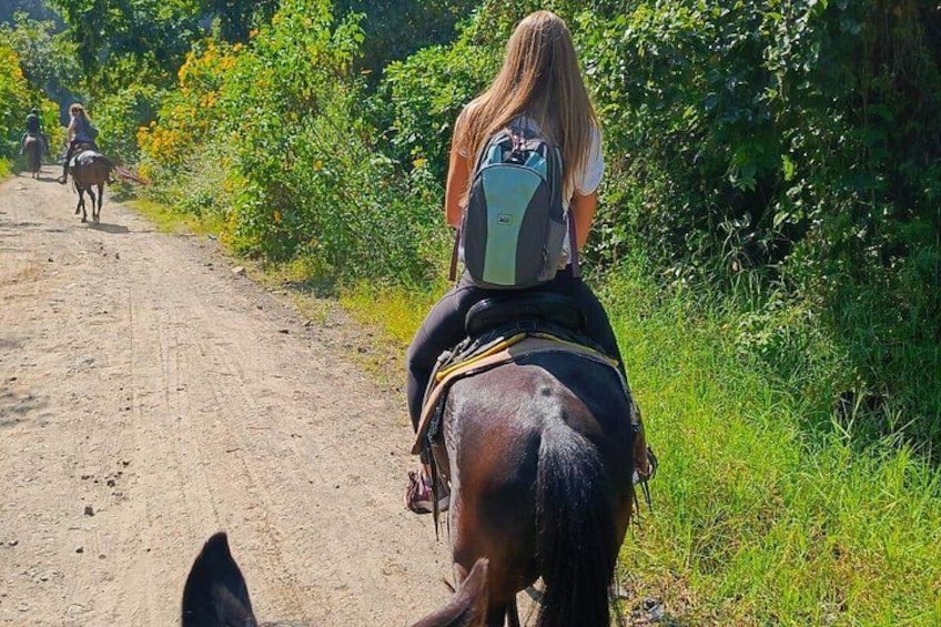 Una persona montando a caballo por un camino de tierra bordeado de vegetación. 4