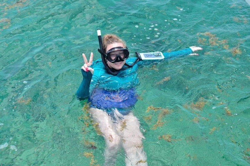 En person som snorklar i klart vatten bland tång. 5
