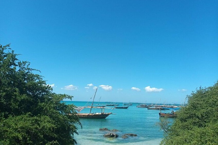 Explore the Whole Zanzibar Island in One Day 2
