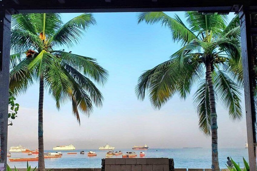 Explore the Whole Zanzibar Island in One Day 1