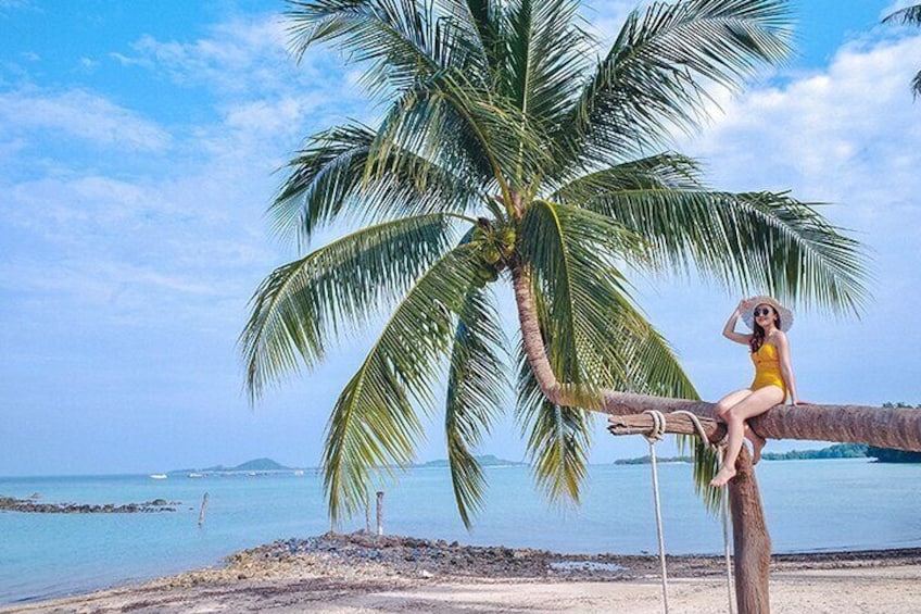 Una persona sentada en una rama de palmera junto a una playa con agua azul cristalina y una isla distante. 1