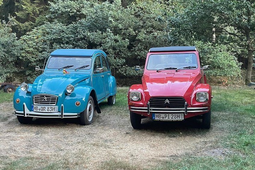 Two vintage cars parked on a grassy area with trees in the background. 3
