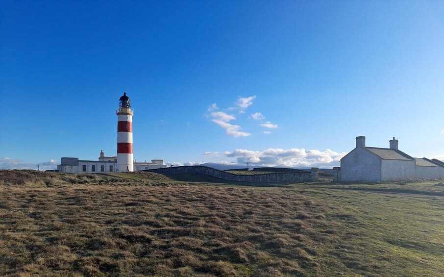 Picture 2 for Activity Isle of Man: Half Day Wildlife Adventure Tour 1