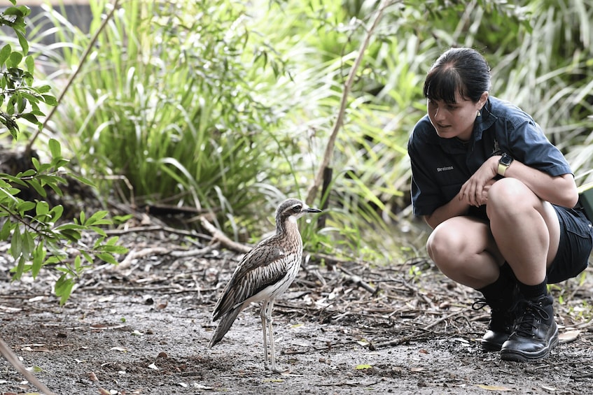 Picture 7 for Activity Byron Bay Wildlife Sanctuary Entry Ticket 2