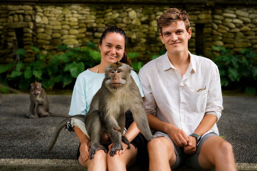 Picture 8 for Activity Ubud: Full-Day Rice Terrace, Monkey Forest & Waterfall 3