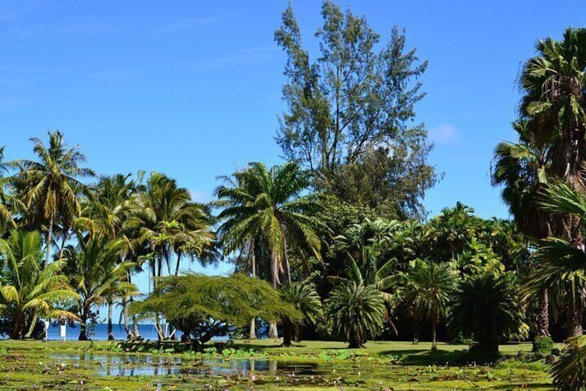 A tropical landscape with palm trees, a pond, and a clear blue sky. 2