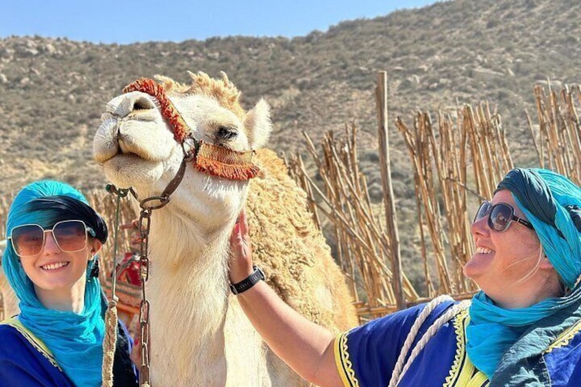 A camel with a rider in a desert landscape. 3