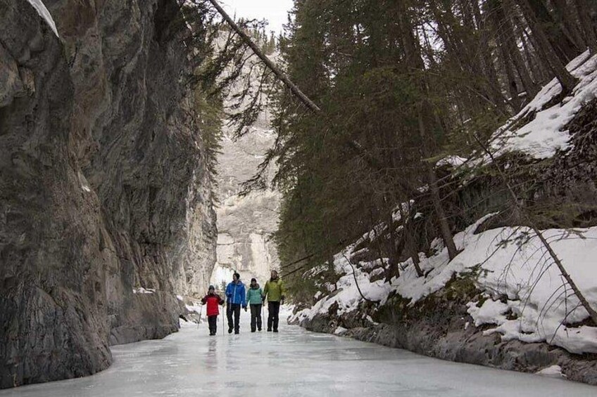 Un groupe de personnes marchant sur un sentier enneigé, entouré d’arbres. 2