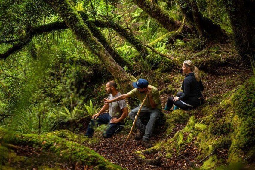 Whirinaki Forest Footsteps: Māori Guided Tour, Picnic & Transfer 5
