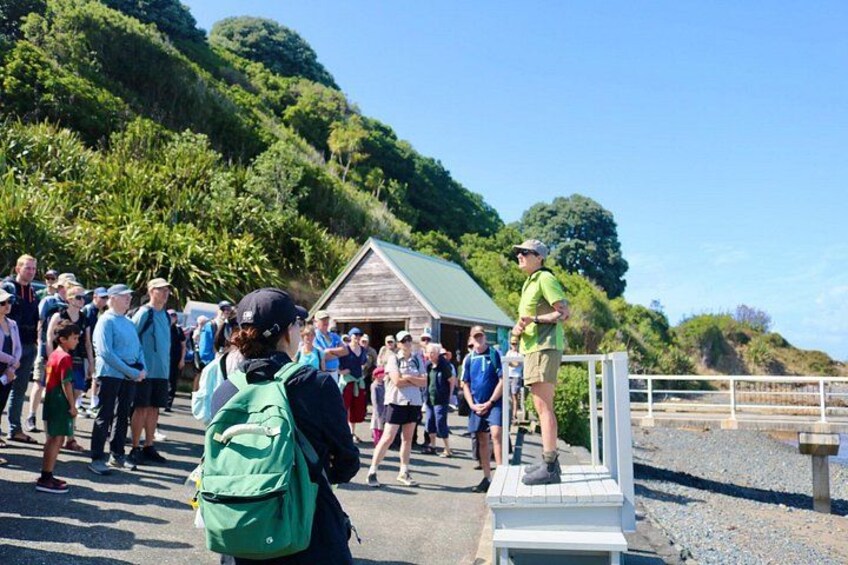 Tiritiri Matangi Island Discovery - from Auckland 2