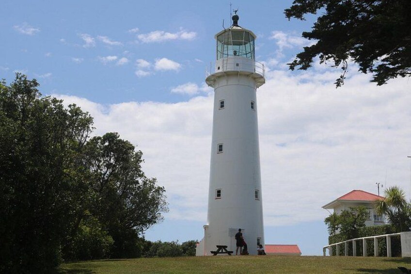 Tiritiri Matangi Island Discovery - from Auckland 2