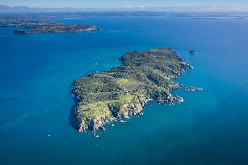 Tiritiri Matangi Island Discovery - from Auckland 1
