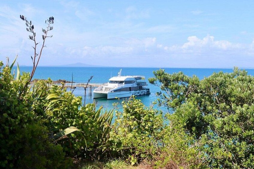 Tiritiri Matangi Island Discovery - from Auckland 3