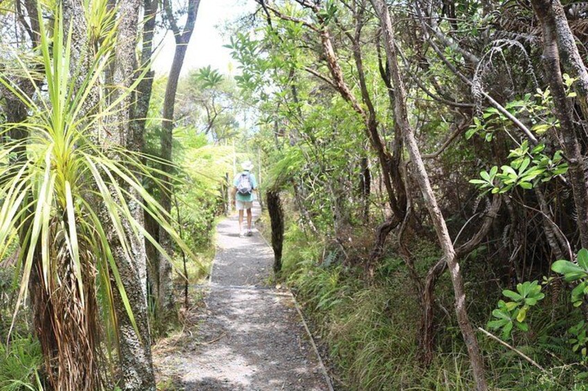 Tiritiri Matangi Island Discovery - from Auckland 2