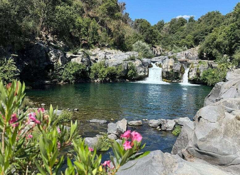 A waterfall in a rocky, forested area with clear water and pink flowers in the foreground. 5