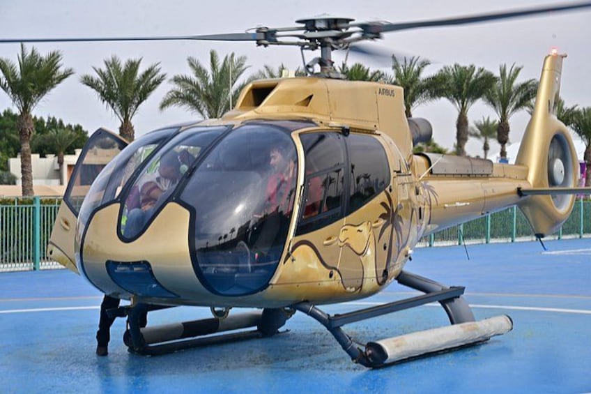 A yellow helicopter with a transparent cockpit, parked on a blue surface with palm trees in the background. 3