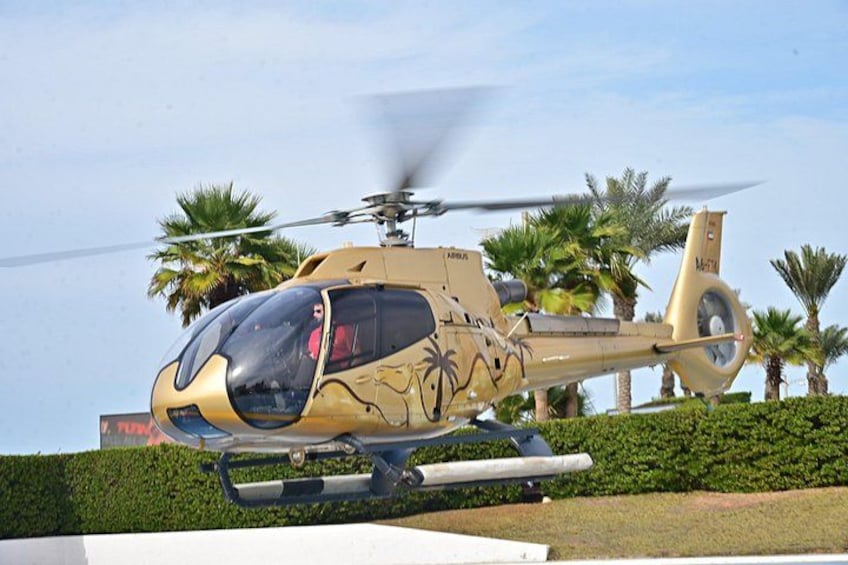 A helicopter with a camouflage pattern, parked on a grassy area with palm trees in the background. 5