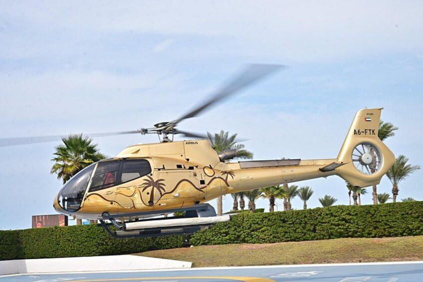 A helicopter with a unique design, parked on a helipad with palm trees in the background. 4