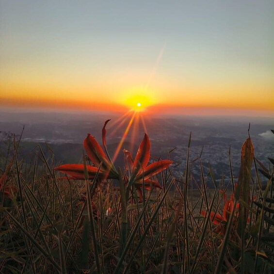 A sunset over a mountainous landscape with red flowers in the foreground. 3