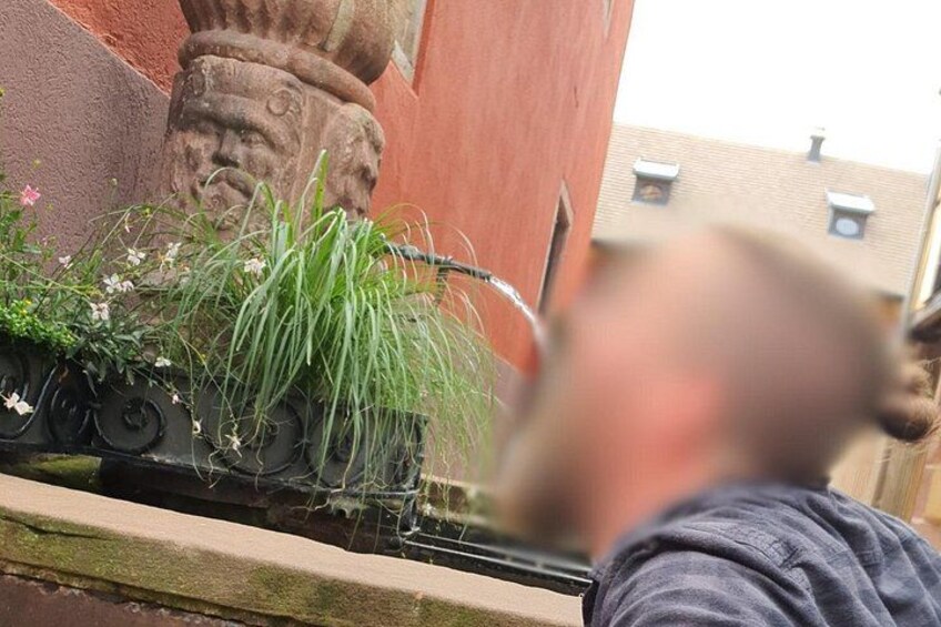 Ein Garten mit einer Steinsäule, einem Metallzaun und einem Gebäude im Hintergrund. 3