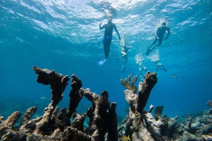 Divers underwater with coral formations. 2