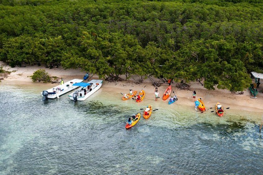 A group of kayaks and a boat on a beach with dense green foliage in the background. 5