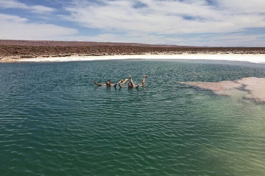 A group of people swimming in a large body of water with a desert landscape in the background. 2