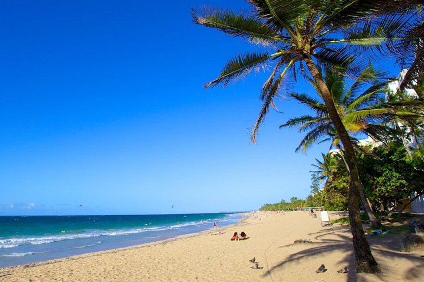 We practice in the shade of the palm trees 3