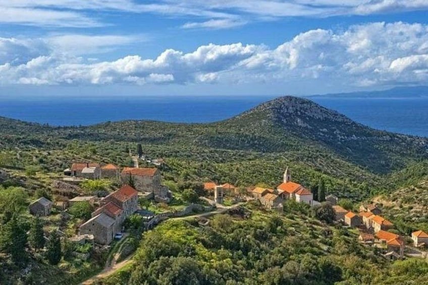 Hvar: Island tour with Wine and Olive Oil Tasting 4