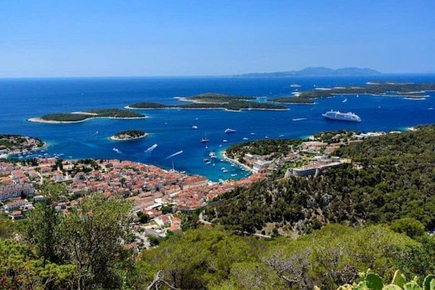 Hvar: Island tour with Wine and Olive Oil Tasting 4