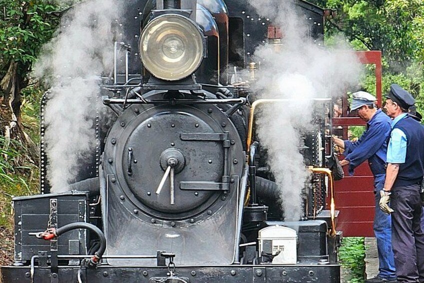 Puffing Billy and The Dandenong Ranges Private Experience 2