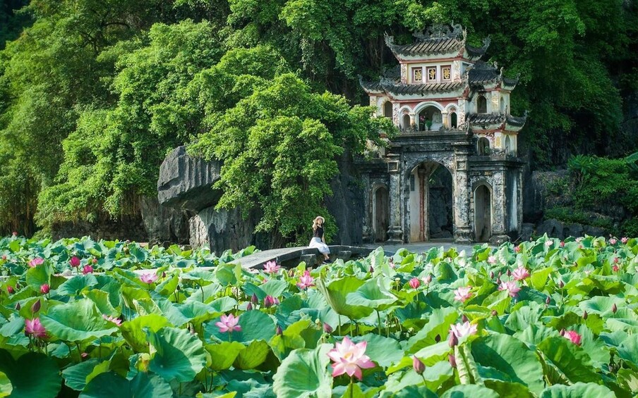 Full Day Bai Dinh - Trang An Tour 2