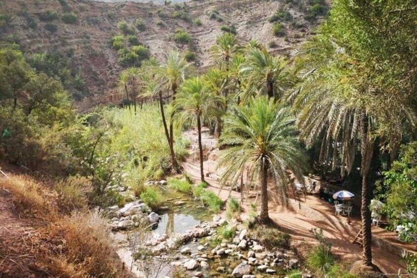 Agadir Paradise Valley Experience 3