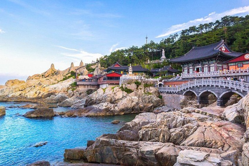 Authentic Busan Full-Day City Highlights Tour 1