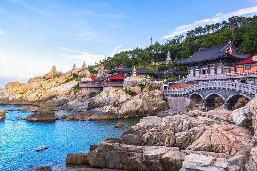 Authentic Busan Full-Day City Highlights Tour 1