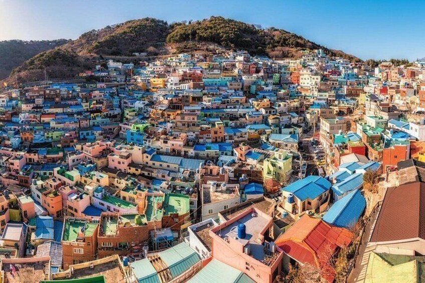Guaranteed Return - Busan Shore Excursion for Cruise Guests 3