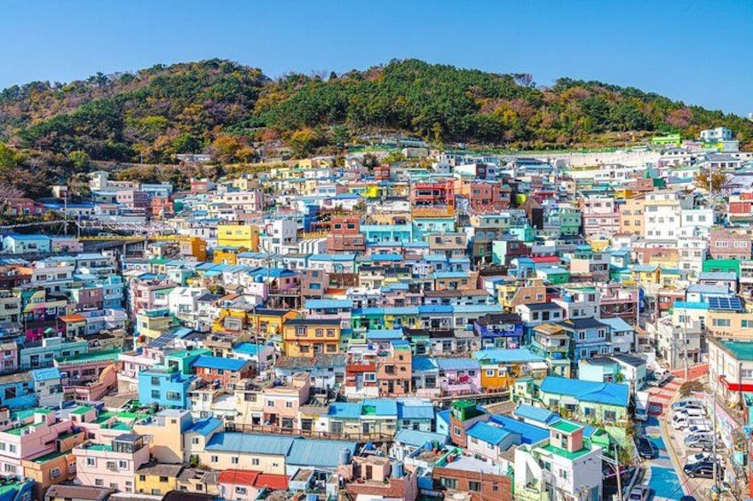 Guaranteed Return Busan Shore Excursion for Cruise Guests 4