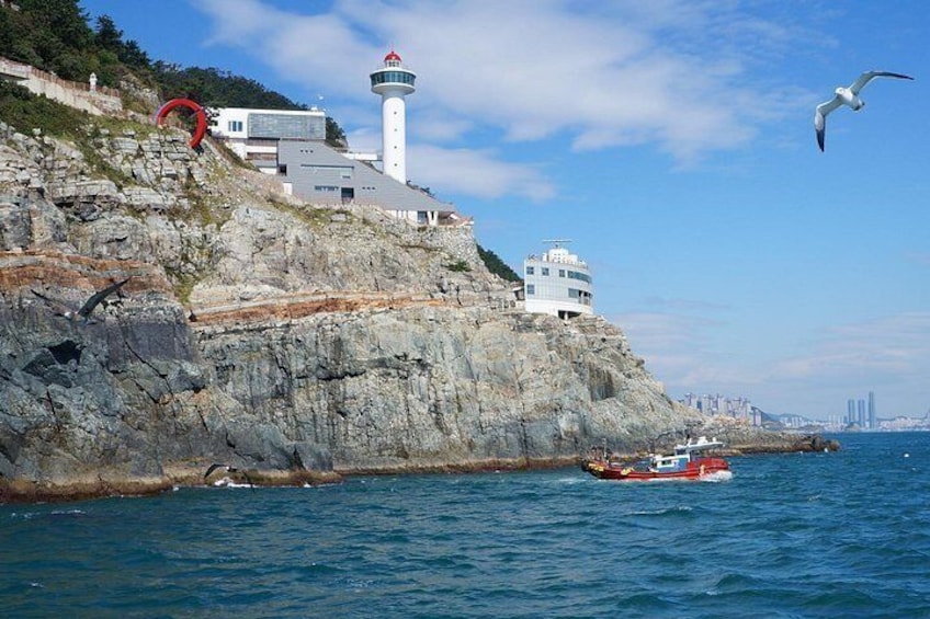 Guaranteed Return - Busan Shore Excursion for Cruise Guests 2