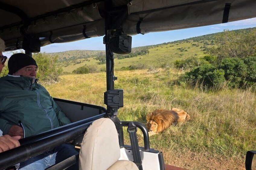 Half-Day Schotia Game Reserve (Open 4x4 Safari Vehicle) 4
